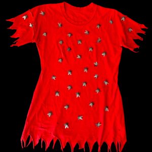 Flies Dress